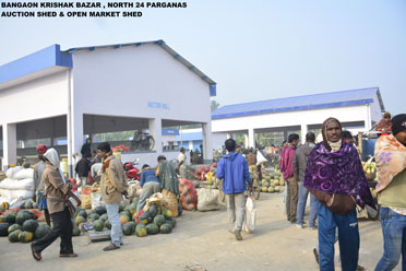 Kiosk Block,Bongaon Krishak Bazar