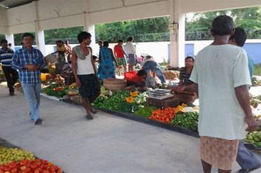 Weigh Bridge,Bhagwanpur-II Block Seed Farm Krishak Bazar