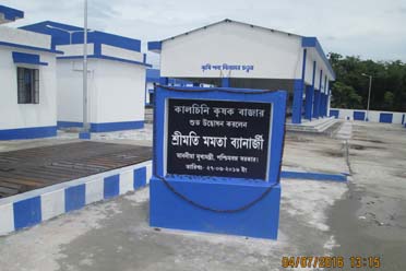 Weigh Bridge,Kalchini Krishak Bazar