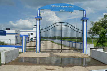 Entrance,Kaliachak-III Krishak Bazar