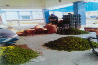 Kiosk Block,Principal Market Yard of erstwhile Kalna RMC Krishak Bazar