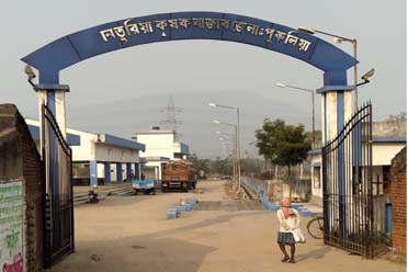 Entrance,Neturia Krishak Bazar