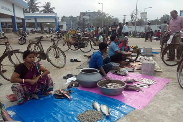 Auction Platform,Shyampur-II Block Seed Farm Krishak Bazar